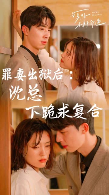 罪妻出狱后:沈总下跪求复合