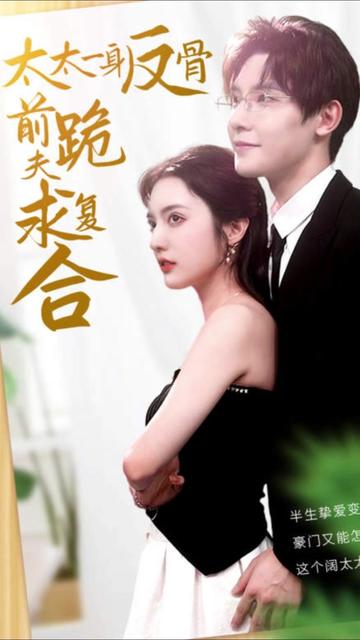 太太一身反骨,前夫跪求复合