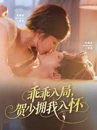 乖乖入局贺少拥我入怀