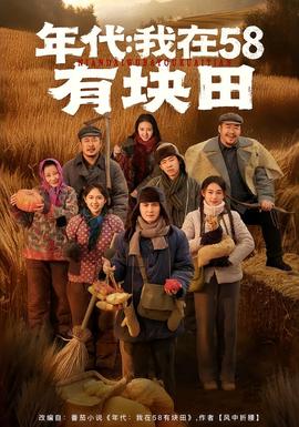 年代我在58有块田