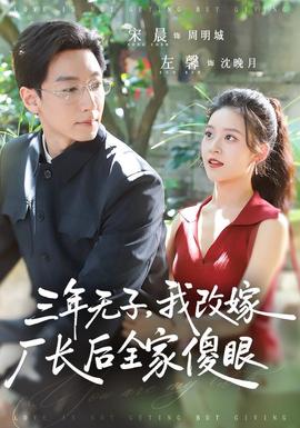 三年无子,我改嫁厂长后全家傻眼了